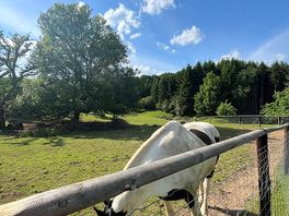 Farm