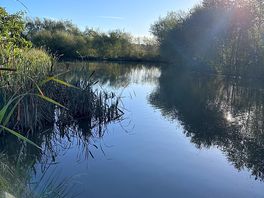 View of the fishing lake