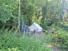 Little tent in the woods