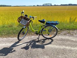 Bike hire