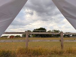 View from the site 2