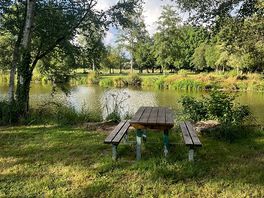 Picnic by lake