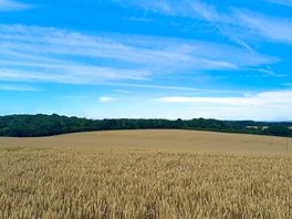 Fields behind campground