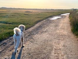 Walk to ravenglass
