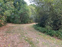 Walk / cycle path around the lake