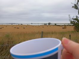 Morning coffee view!