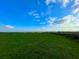 View from pitch