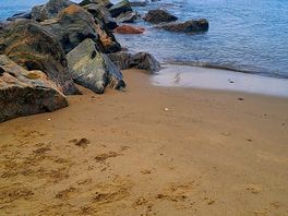 Nearby beach