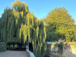 River walk