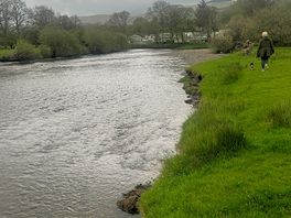 Great for dog walking and bird & wildlife watching