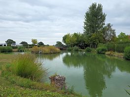 Beautiful and idealic setting