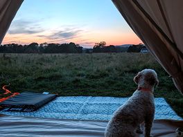 Great sunset
