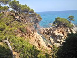 Lloret de mar