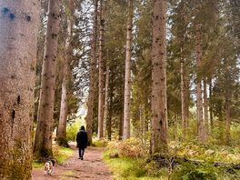 Woodland