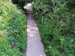 Cuckoo walk