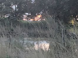 The pond before the bats!
