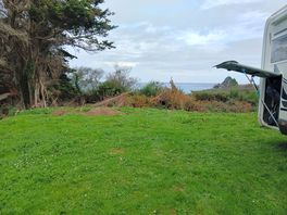 Déchets verts sur emplacement
