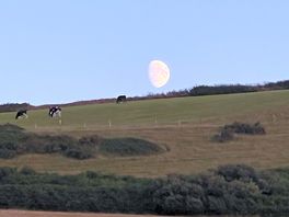 Moon rise from site - wow 🤩.