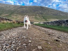 Exploring the surrounding hills