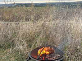 View with a fire