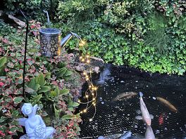 Pub garden