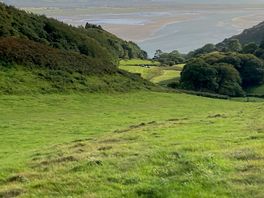 View from top of the hill