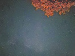 View of the sky at night