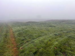 Misty campsite
