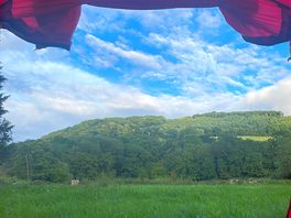 View from the tent