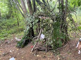 Den building amongst the trees