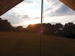 Nice view