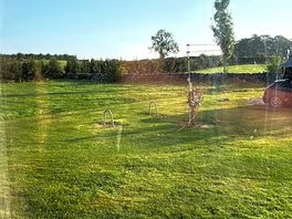 View from dog run