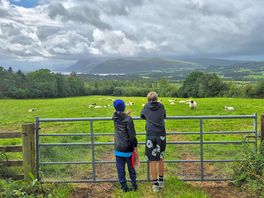 Saying hello to the neighbours