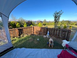 View from tent