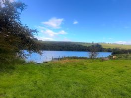 View of the lake