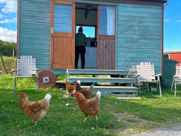 Devant la cabane. nos amies les poules.