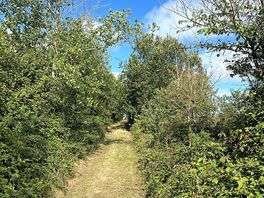 Great paths
