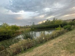 Views