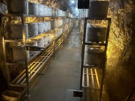 Cheese cave at wookey hole