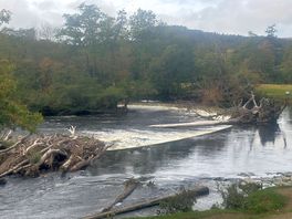 Horseshoe falls