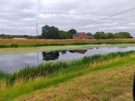 Luvly views from local walks