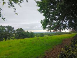 View from camp site