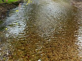 Duck race!