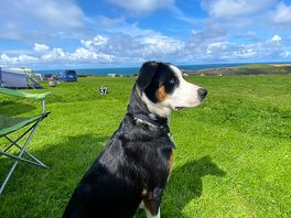 Overlooking the sea