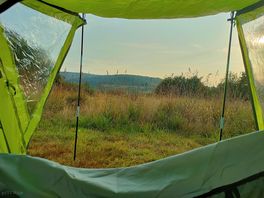 Morning view