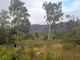 Views from campsite