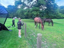 Often grazed near where we set up and amazing to watch galloping around during the sunset.
