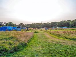 Grass pitches