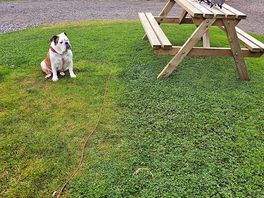 Pitch 3 picnic table