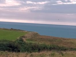 Panoramic view from our tent!!
